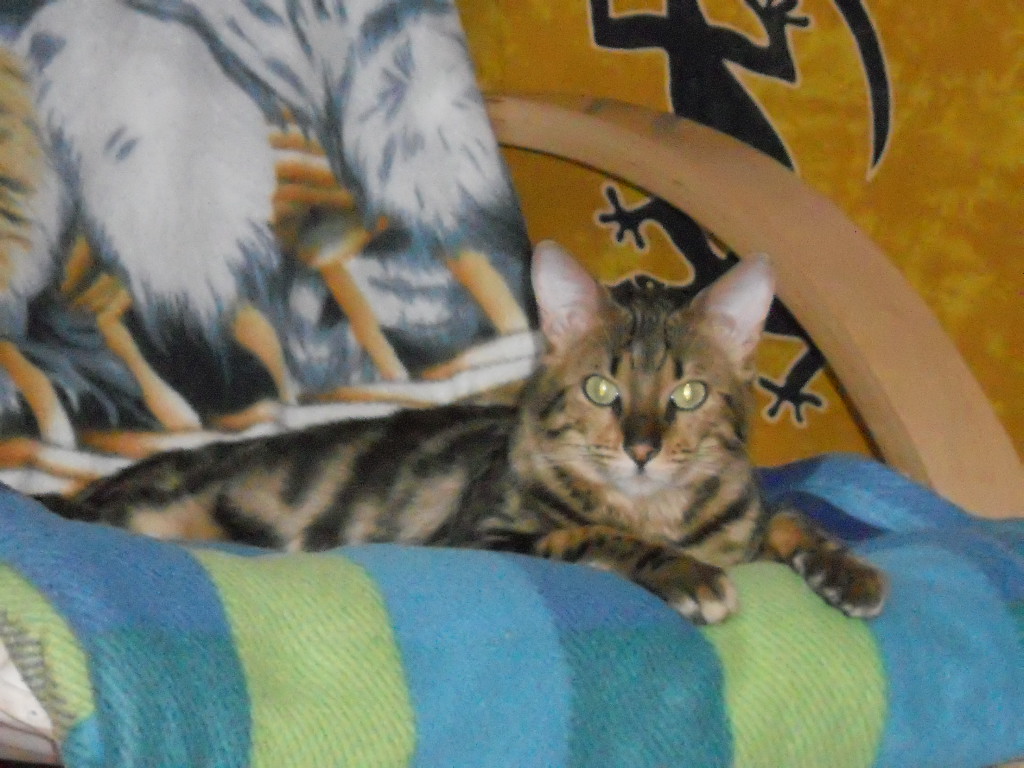 DSCN0635.JPG