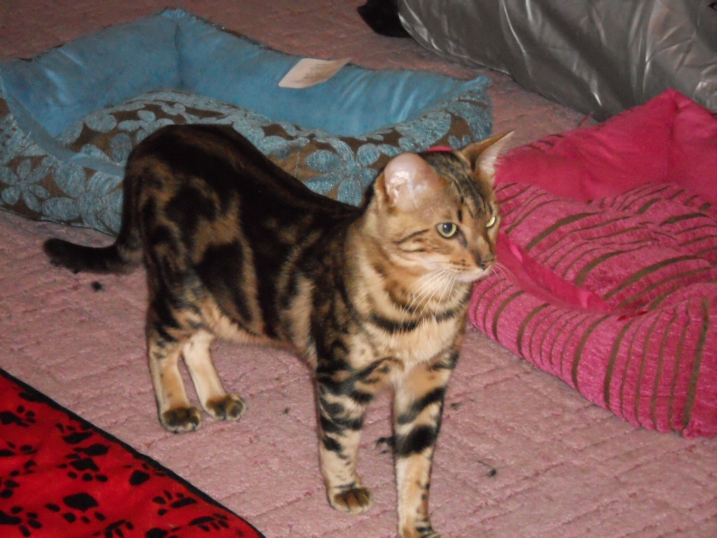 DSCN0764.JPG