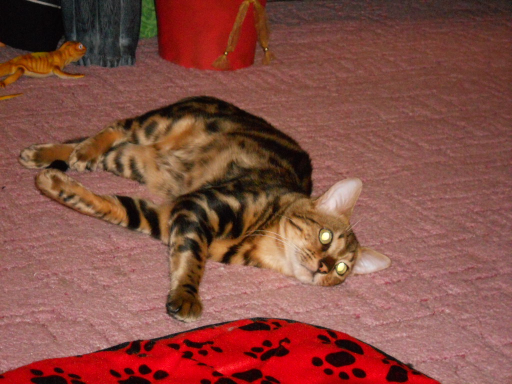 DSCN0807.JPG