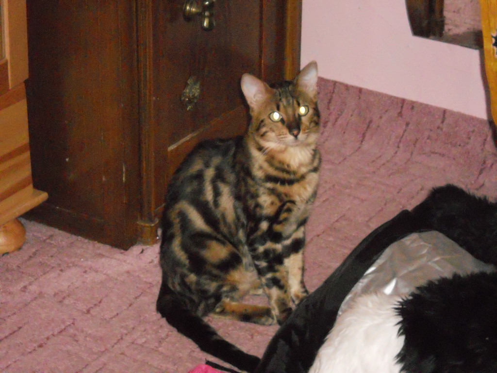 DSCN0840.JPG