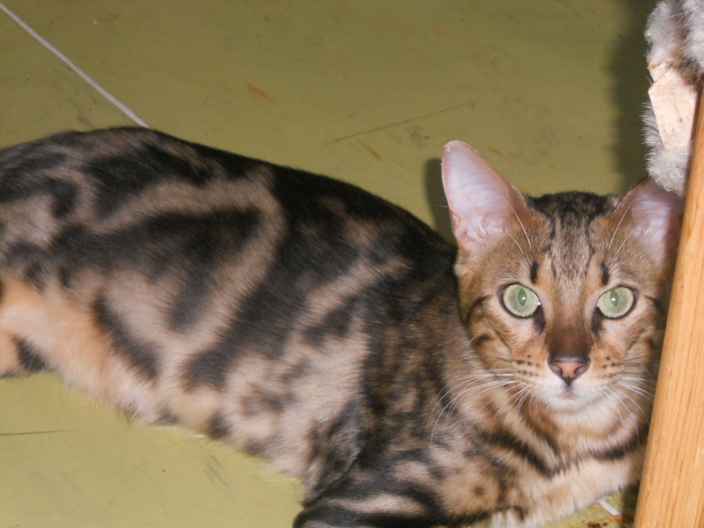 DSCN0543.JPG