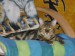 DSCN0635.JPG