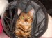 DSCN0713.JPG