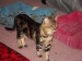 DSCN0764.JPG