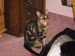 DSCN0840.JPG