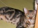 DSCN0543.JPG